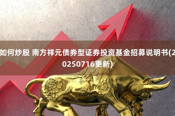 如何炒股 南方祥元债券型证券投资基金招募说明书(20250716更新)